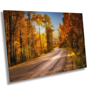 Colorado Fall Aspens Photography Print | San Juan Mountains Autumn Foliage Landscape