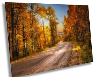 Colorado Fall Aspens Photography Print | San Juan Mountains Autumn Foliage Landscape