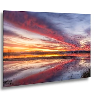 Puede incluir: Fotografía de paisaje de una puesta de sol sobre el agua. El cielo está surcado por nubes rojas, naranjas y moradas. Una bandada de pájaros vuela por el cielo. El agua refleja los colores del cielo, creando un efecto de espejo. Una hermosa escena de la naturaleza.