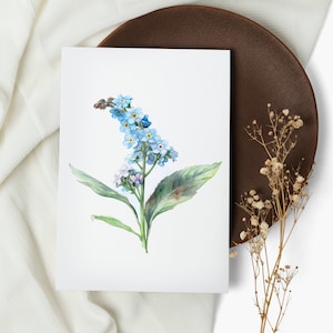 Watercolor Forget-Me-Not Card Set: Botanical Greeting Cards