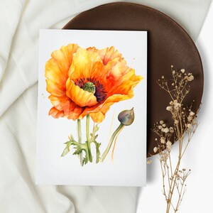 NOVO conjunto de cartões de flores em aquarela. blocos de notas . papoula laranja. cartões comemorativos. flores botânicas (1, 10, 30 e 50 unidades)