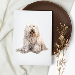 Set di carte Komondor. biglietti per appunti. Komondor. biglietti d'auguri . carte di cani acquerello. cane felice. cucciolo (1, 10, 30 e 50 pezzi)