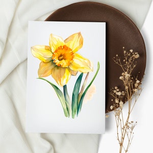 Grußkarten mit Aquarell Narzisse: Botanisches Grußkarten Set