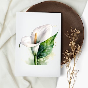 Watercolor Calla Lily Note Card Set: Botanical Greeting Cards