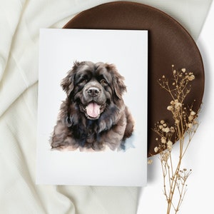 set di carte di Terranova. biglietti per appunti. terranova. biglietti d'auguri . carte di cani acquerello. cane felice. cucciolo (1, 10, 30 e 50 pezzi)