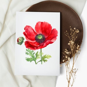 NOVO conjunto de cartões de flores em aquarela. blocos de notas . anêmona vermelha. cartões comemorativos. flores botânicas (1, 10, 30 e 50 unidades)
