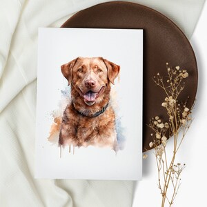 Set di carte Chesapeake Bay Retriever. biglietti per appunti. biglietti d'auguri . carte di cani acquerello. cane felice. cucciolo (1, 10, 30 e 50 pezzi)