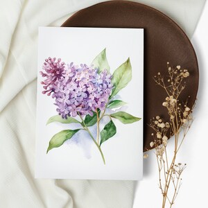 NOUVEAU jeu de cartes de fleurs à l'aquarelle. cartes de correspondance. fleur lilas lavande. cartes de voeux. fleurs botaniques (1, 10, 30 et 50 pcs)