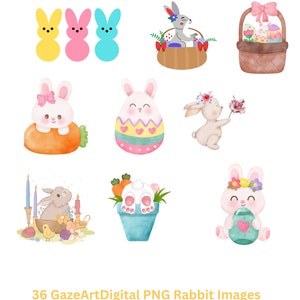36 PNG Rabbit Clipart Images| Instant Download| Digital Printable
