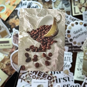 May include: A rectangular sticker featuring a cream-colored ceramic coffee cup tipped on its side, spilling dark roasted coffee beans onto a textured, crumpled off-white paper background. The image captures the beans scattered across the surface.