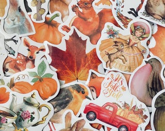 Cute Fall Critter Stickers, Autumn Aesthetic Assorted Pack