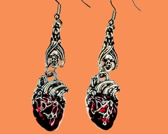 May include: A pair of silver dangle earrings with a red anatomical heart charm and a silver skull charm.