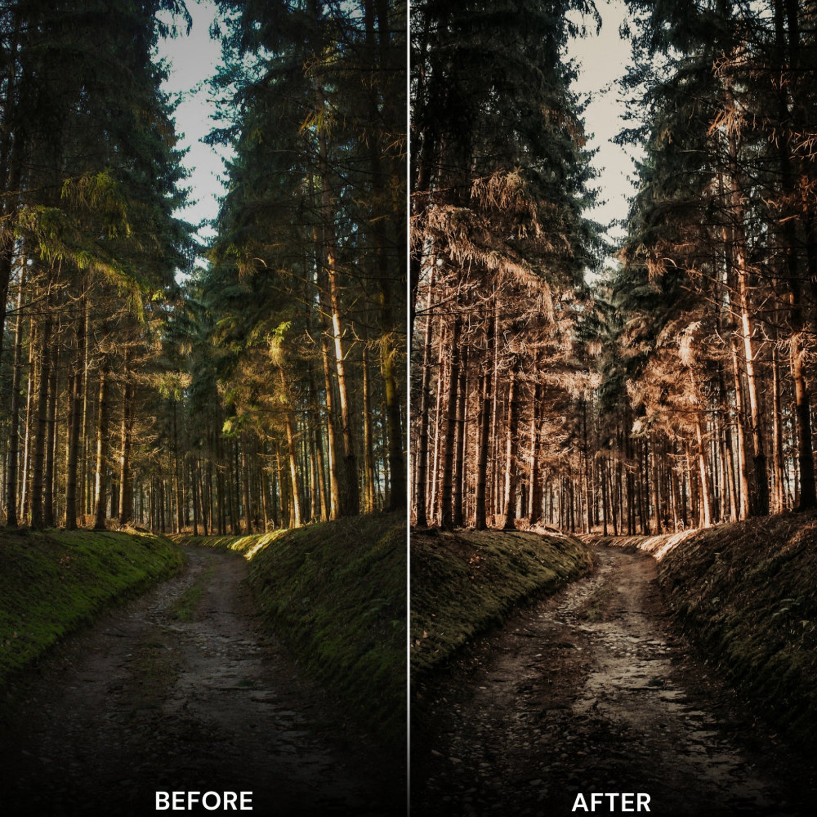 Transform Your Digital Photos With Film Grain Dust and Instant Film ...