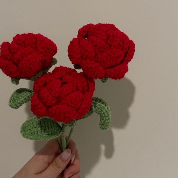 Rosenstrauß Häkelblumen | Handmade Perfekt Muttertag Geschenk Geburtstag Geschenk Jahrestag Geschenk