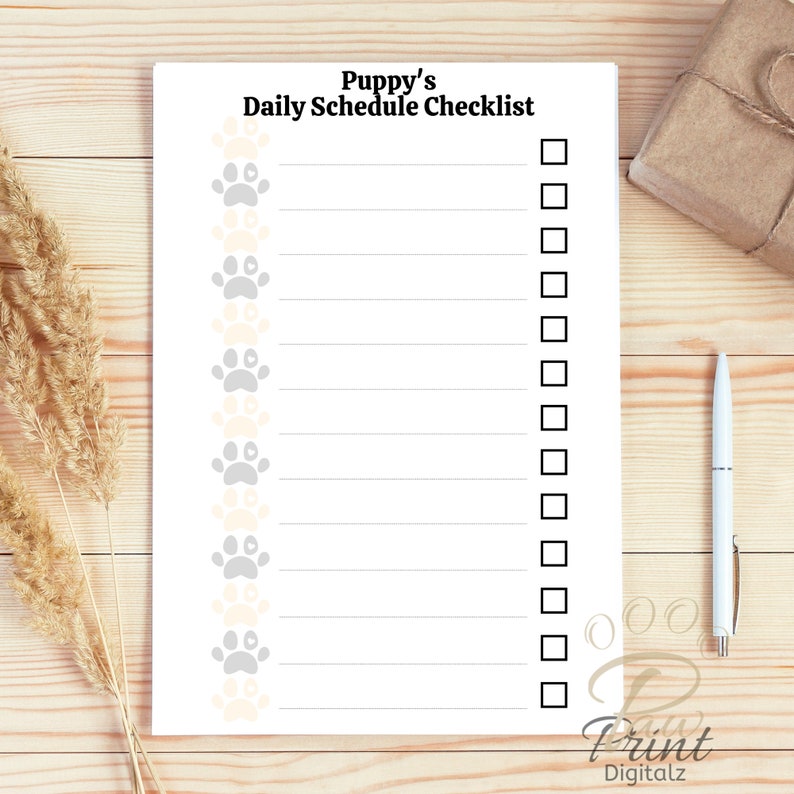Potty Training Daily Schedule Potty Training Daily Schedule