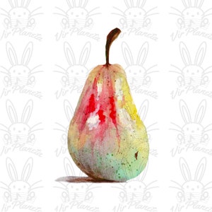 May include: A watercolour painting of a pear with a green, yellow and red colour scheme. The pear is painted in a realistic style with visible brushstrokes.
