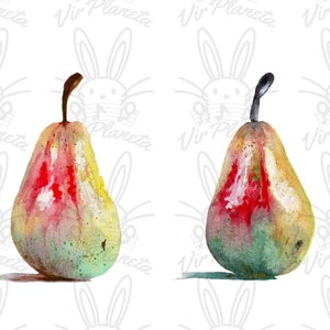 May include: Two watercolour paintings of pears. The pears are painted in shades of green, yellow, red, and brown. The pears are depicted with a stem and leaf.
