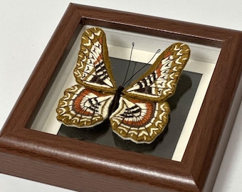 Butterfly Embroidery Kit: DIY Beginner Needlecraft, Stress Relief