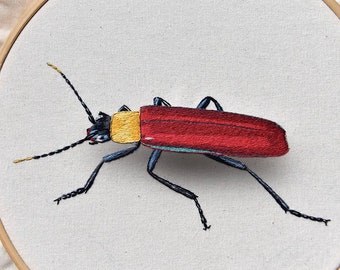 Full embroidery kit. Challenging embroidery. Insect DIY hoop art craft. Adult anxiety/stress relief Beetle gift