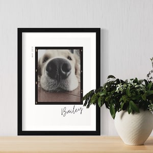 Personalized Pet Memorial Gift Dog Photo Frame Gift for Pet Lover Pet Remembrance Picture Dog Loss Gift Painting Custom Cat Portrait Gift