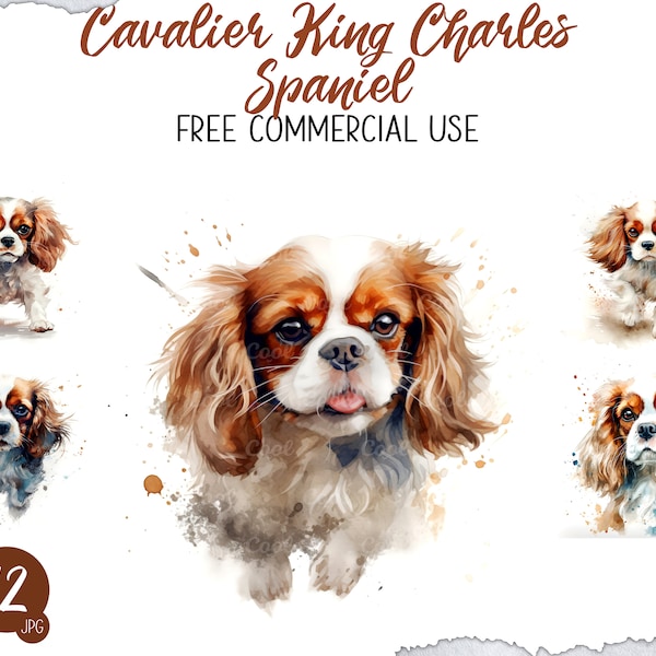 Cavalier King Charles Spaniel Clipart Bundle, 12 Digital JPG, Toy Breed, English Origin, Gentle Nature, Silky Coat, Affectionate Companion