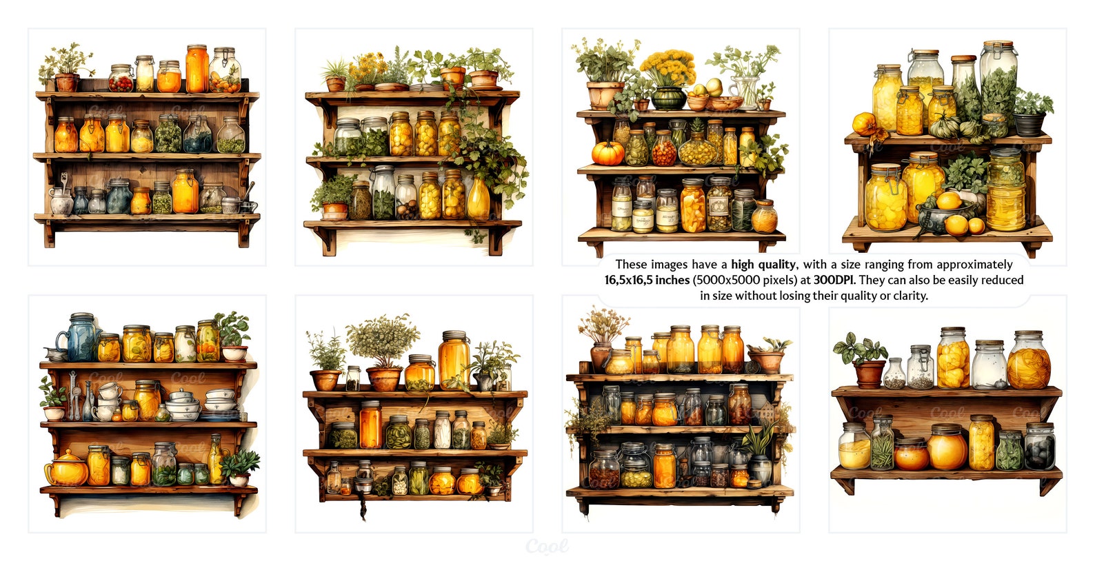 Vintage Kitchen Shelves Clipart Bundle, 20 Digital JPG, Retro Storage