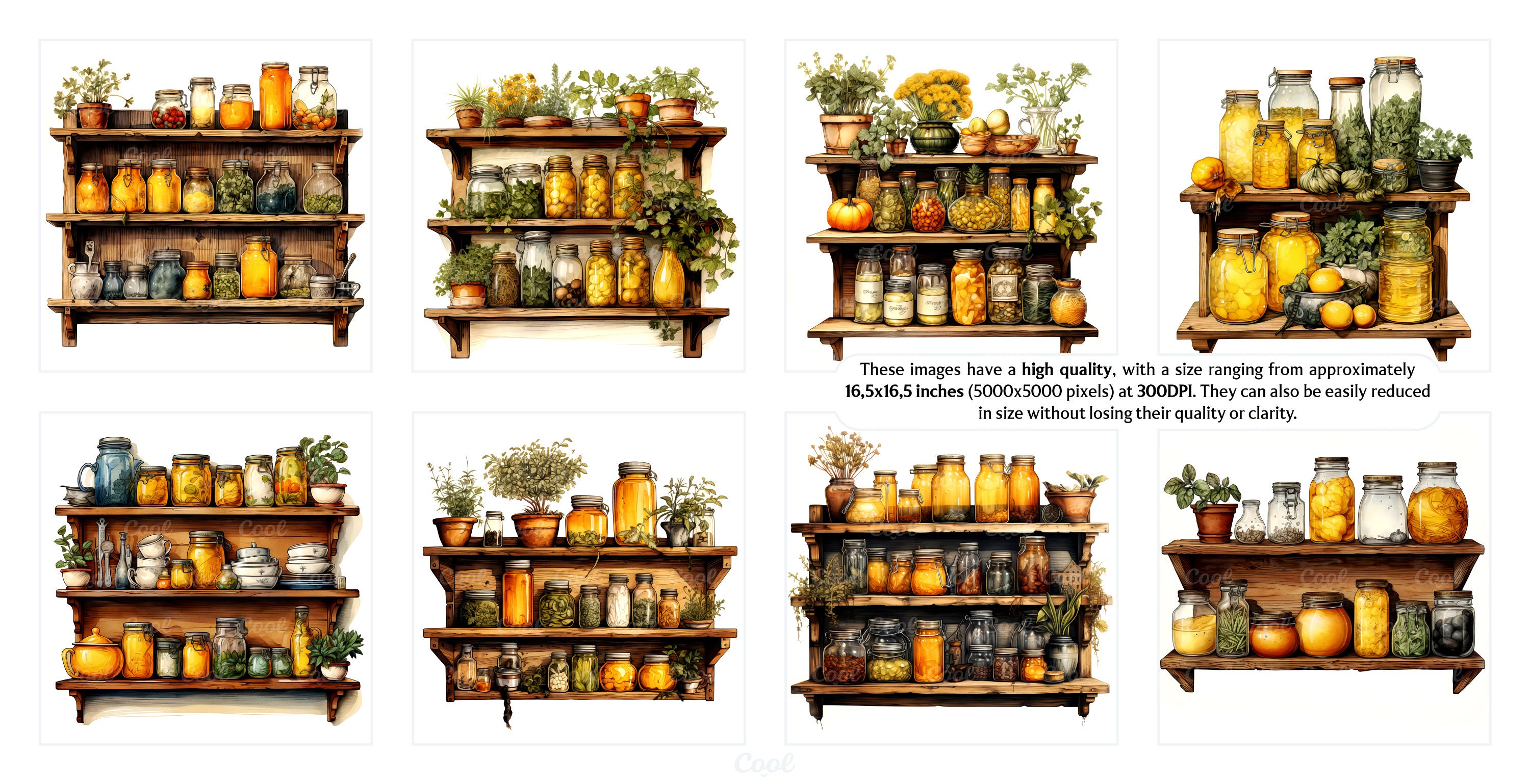 Vintage Kitchen Shelves Clipart Bundle, 20 Digital JPG, Retro Storage