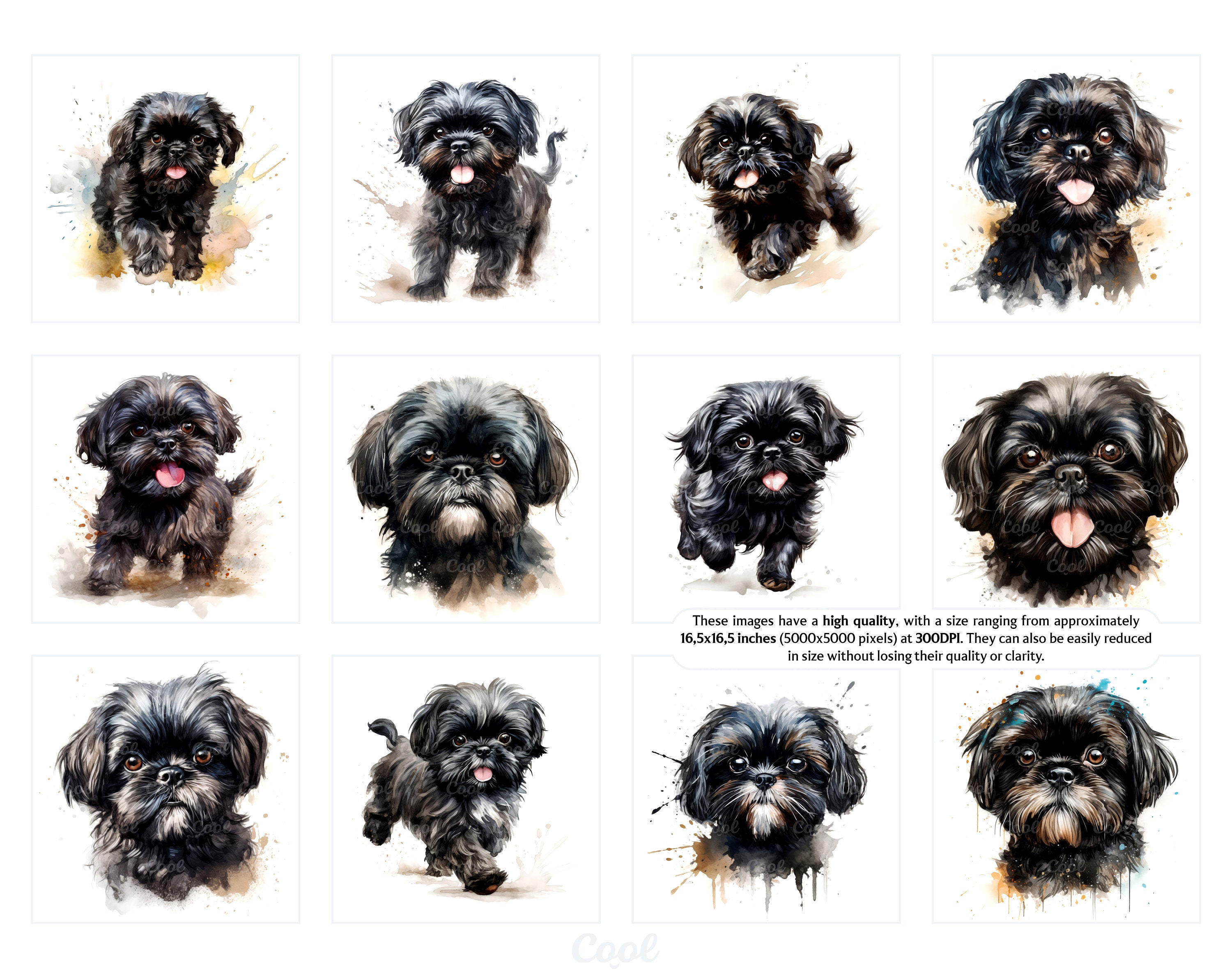 Black Shih Tzu Clipart Bundle, 12 Digital JPG, Adorable Dog Art, Silky ...