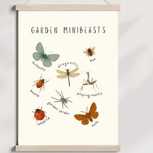 Póster educativo, Minibestias de jardín, Impresión de insectos, Aprendizaje basado en la naturaleza, Escuela de naturaleza, Descarga digital, Póster para el aula, Decoración infantil