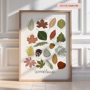 May include: A framed print featuring a collection of illustrated leaves, including sycamore, maple, and oak, in various colors. The print is labeled "Woodlands" and includes the text "DIGITAL DOWNLOAD". The frame is a light brown color.