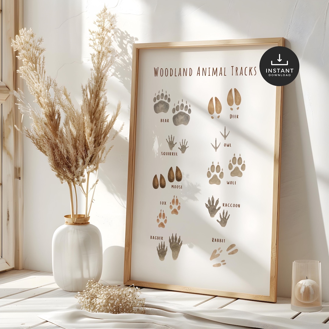 Woodland Animal Tracks Print: Nature-themed Educational Poster (digital ...