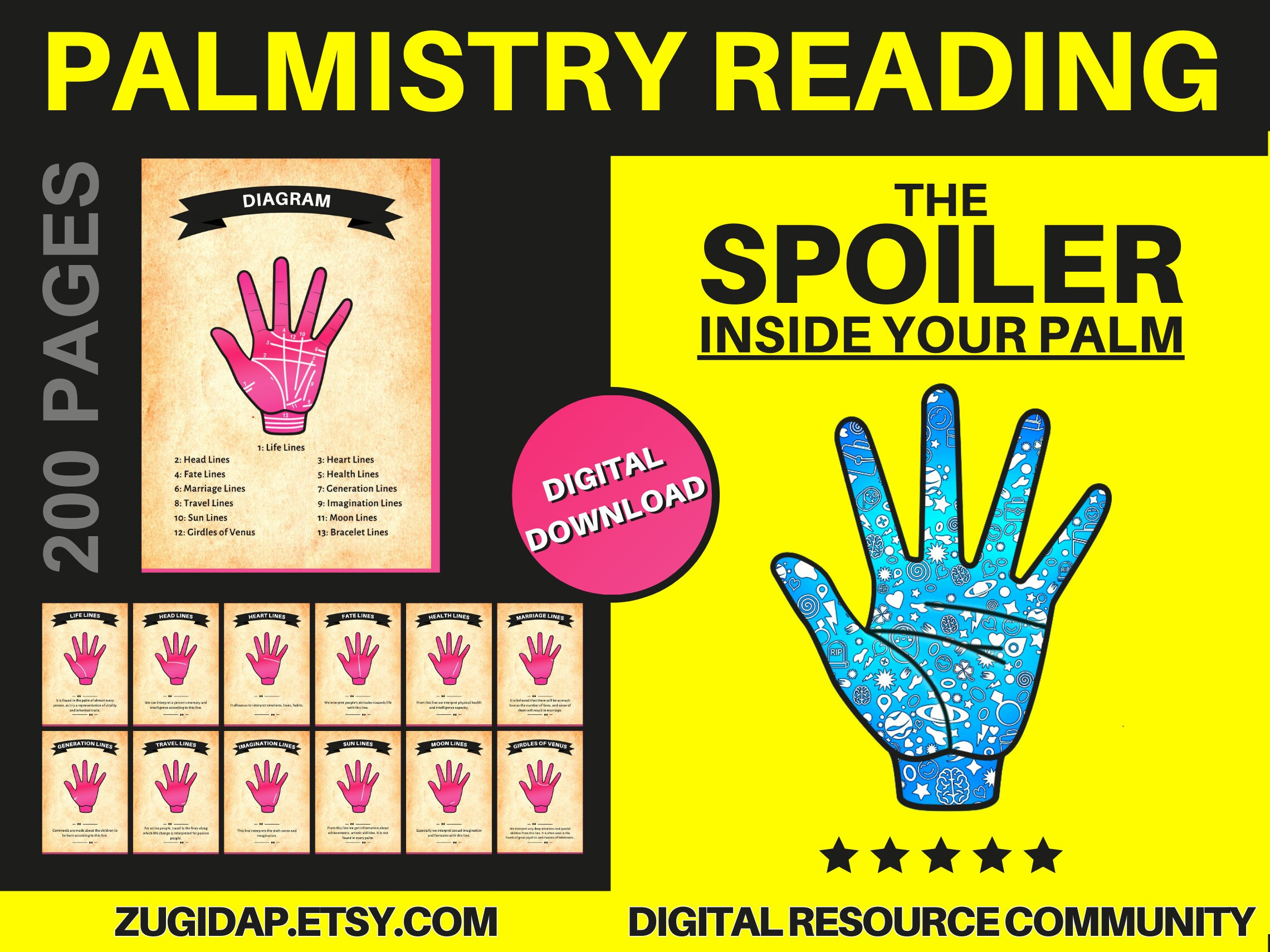 Palmistry Hand - Museum of Witchcraft and Magic