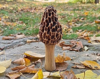 Ensemble de sculptures en bois de morilles avec 3 champignons sculptés