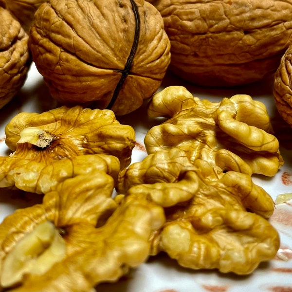 2023 Crop, 5 Pounds Organic Chandlers Walnuts, Northern California Grown, In Shell, Whole, Buttery Taste, Fresh, Light, Raw,Edible,Snack