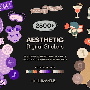 Aesthetic Digital Sticker GoodNotes Sticker Digital Planner Sticker Book Pre-Cropped Sticker Notability Sticker Individual PNG sticker set