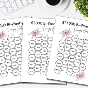 Tweewekelijkse spaaruitdaging, afdrukbaar, bundel, gelduitdaging, tweewekelijks, spaarplan, bespaar 3000, 5000 of 10000 | A4, US Letter