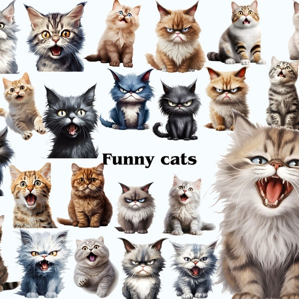 Funny Cat Clipart, Grumpy Cat Graphics, Cute Cats Clipart, Funny Animal Clipart, Cute Animals PNG, Digital Instant Download, Commercial Use