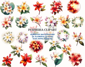 Plumeria Flower Clipart - Tropical Plumeria Bouquets, Spring Flowers Clipart, Watercolor Tropical Plumeria Flower - Commercial Use PNG