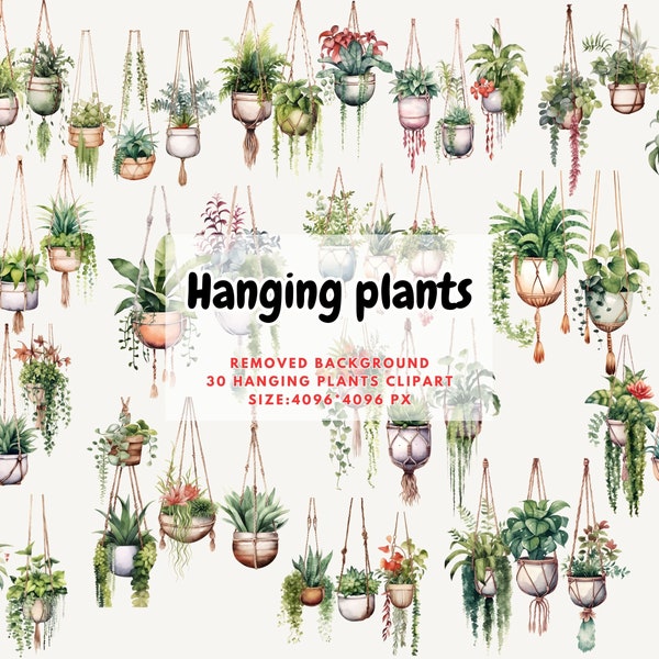 Hanging Plants Watercolor Clipart - Potted Greenery Clipart, Macramé Planter Floral PNG Format Instant Download for Digital Commercial Use