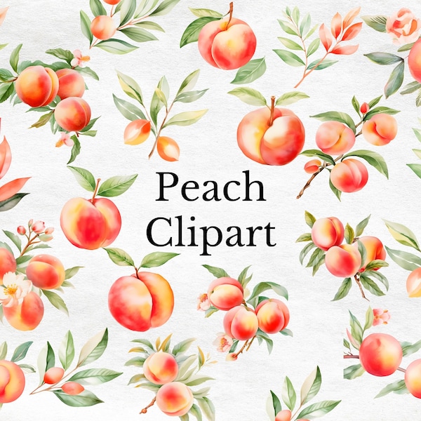 Peach Watercolor Clipart, Fresh Peach PNG, Peach Tree Illustrations, Fruit Clipart, Peach Flowers, Cute Peach Art, Digital Commercial Use