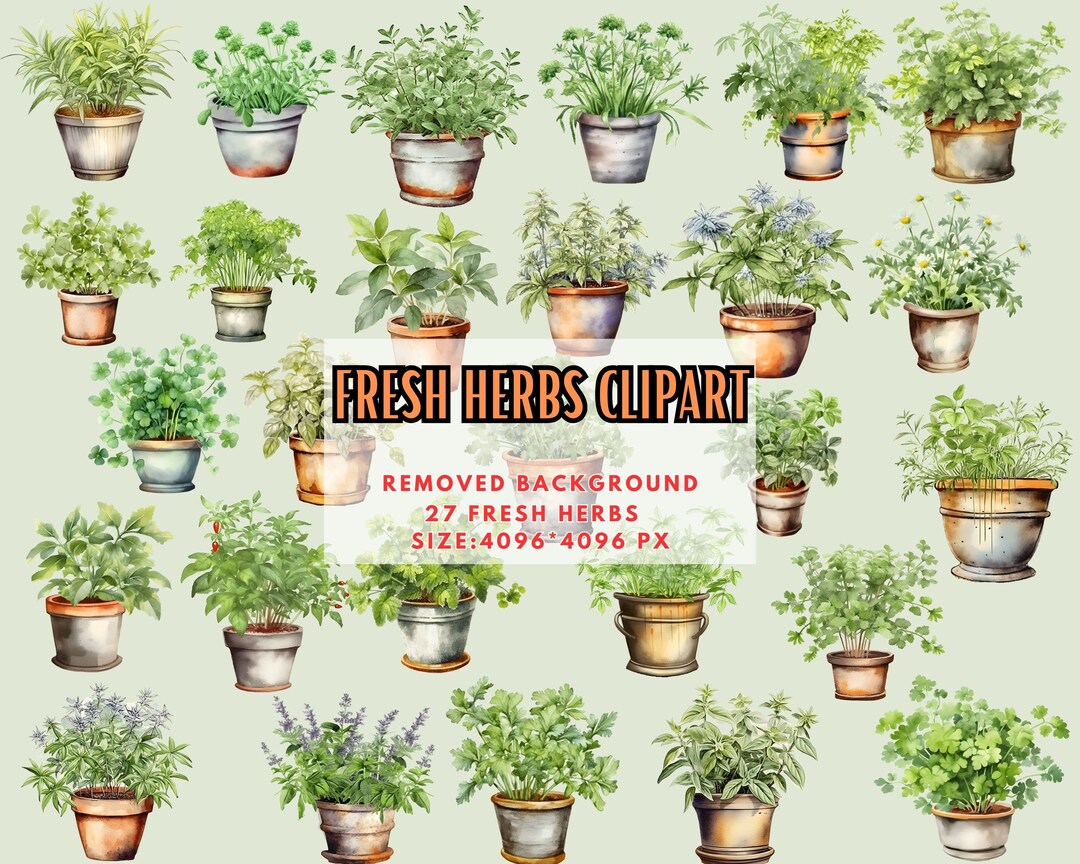 Watercolor Herbs Plants Clipart Fresh Herbs Clip Art, Herb Garden, Herb