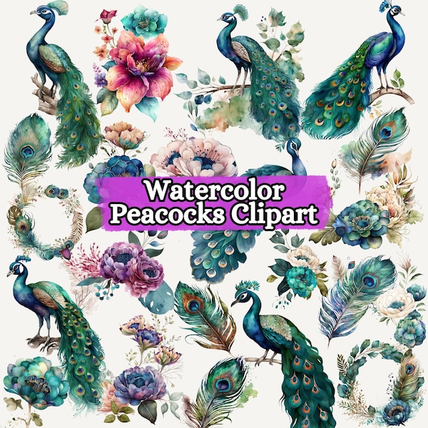 Watercolor Peacocks Clipart, bird clip art bundle junk journaling high quality peacock png wall art peacock painting commercial use
