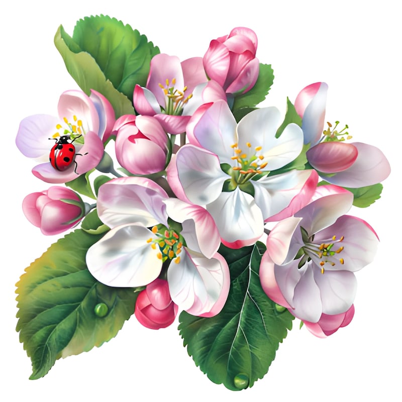 Apple Crayon Apple Bloomer Set main image 0