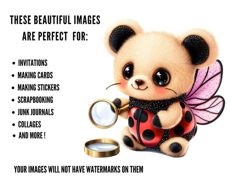 Ladybug Teddy Bear Clipart, Ladybug Theme Graphics, Ladybug Teddies PNG