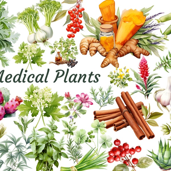 Medicinal Plants Clipart, Herbal Garden, Herbs Spices Illustration, Medicinal Print, Natural Medicine Clipart, Scrapbook, Commercial Use