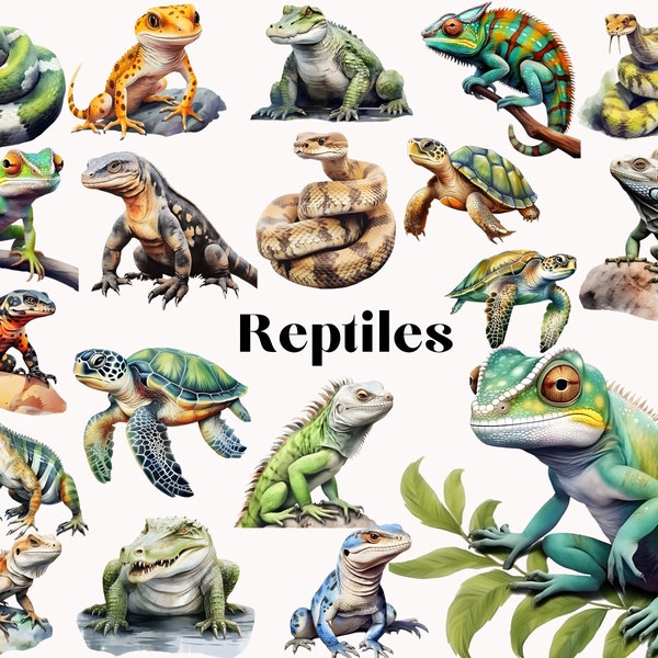 Reptiles Watercolor Clipart, Chameleon, Lizard, Snake, Turtle, Alligator, Exotic Animal Illustrations, Instant Download, Commercial Use PNG