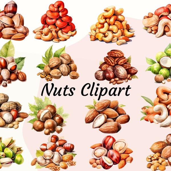 Watercolour Nuts Clipart, Peanuts, Hazelnuts, Walnuts, Cashews, Healthy Snack, Nut Images, Nut Illustrations, Seeds Clipart, Commercial Use