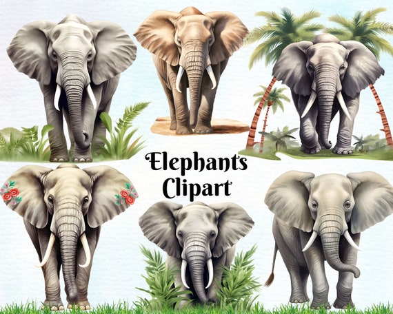 Adult Elephant Kit Grey Adult Elephant Kit Grey
