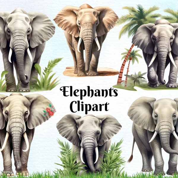 Elephants Clipart, African Elephant Graphics, Animal Clipart Collection, Grey Tropical Elephants, Elephant Illustrations, Digital Download