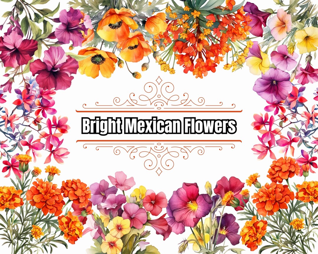 153 Mexican Flowers Fiesta Party Watercolor Vibrant Floral Etsy